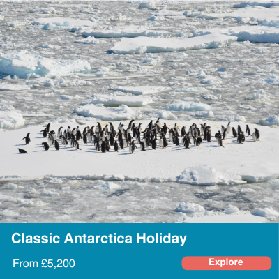 classic antarctica holiday