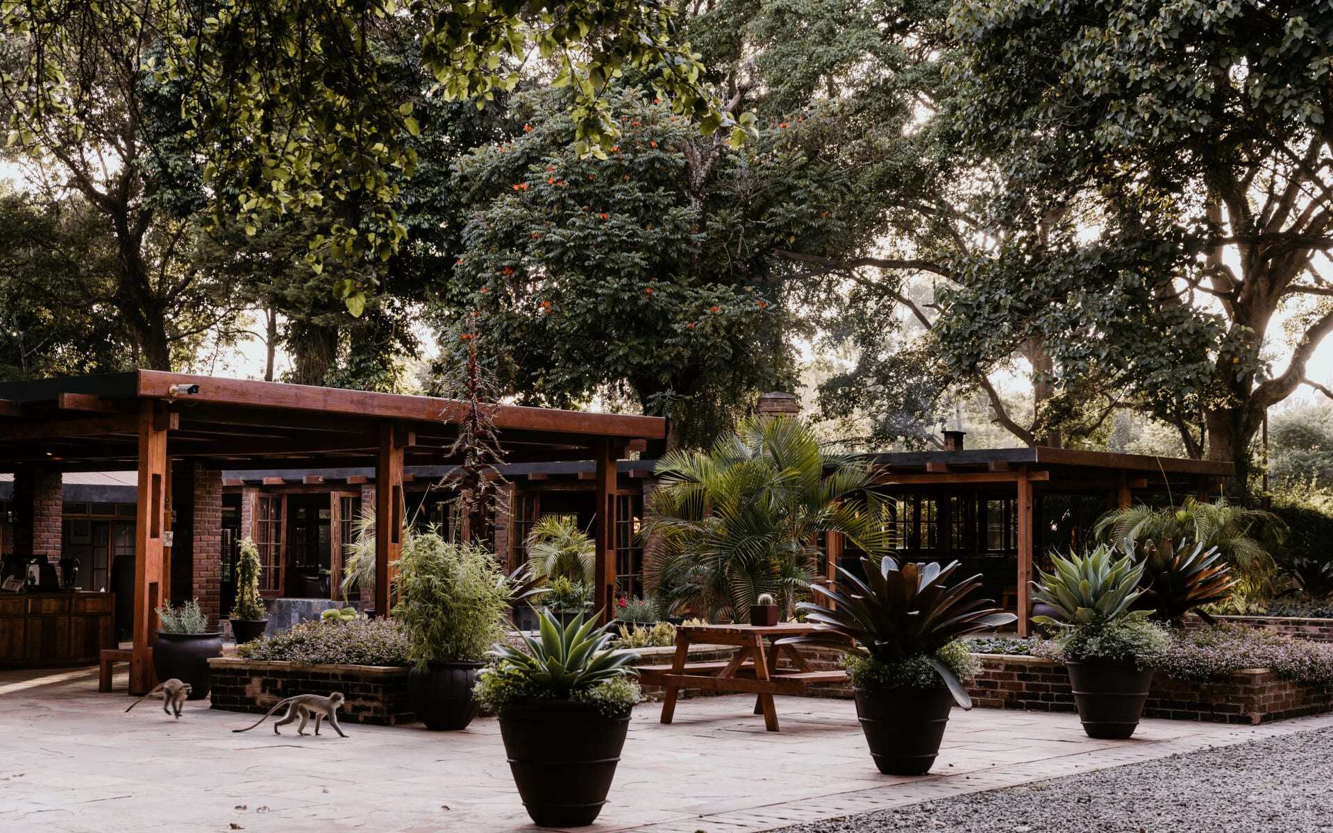 Arusha_Coffee_Lodge_-_Grounds_mvp8mj