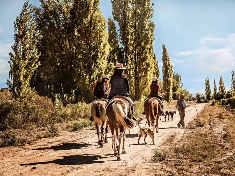 Cavas_Wine_Lodge_Winery_Visit_on_Horseback_opvtuk