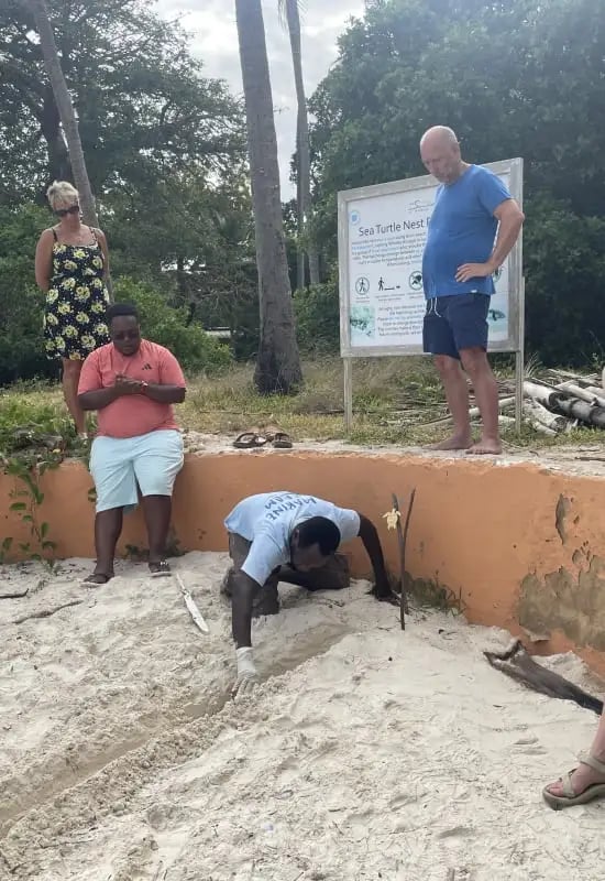 Diani_the_sands_nomad_turtle_conservation