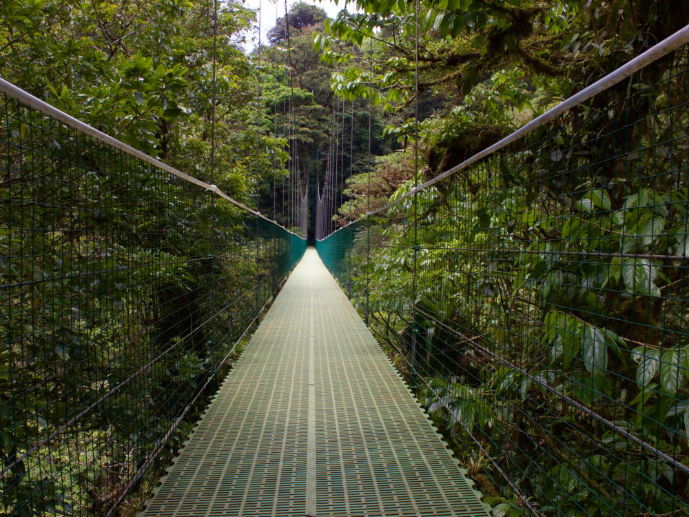 Monteverde_Unsplash_2020_CCLeslie_Cross_zdegzk