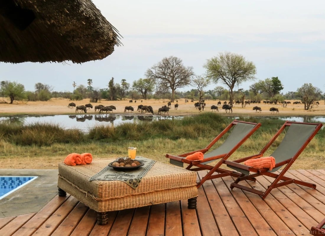 10._Imvelo_Safari_Lodges_-_Bomani_-_splash_pool_at_Bomani_overlooks_the_busy_waterhole_i4twvf_r7w0by
