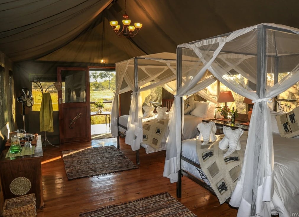17._Imvelo_Safari_Lodges_-_Bomani_-_Saddlebill_Interior_of_the_Twin_Room_qdjtke_ldy3v0