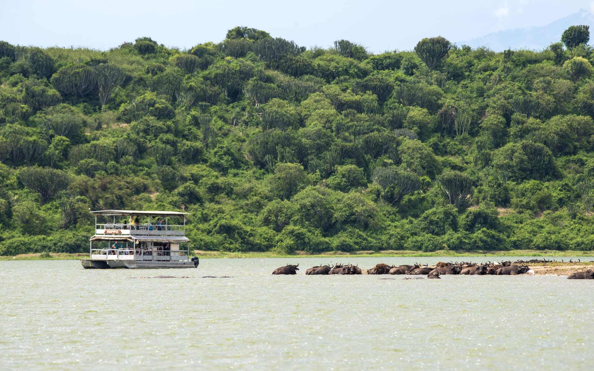 Embark on a river cruise on the Kazinga Channel in Uganda.