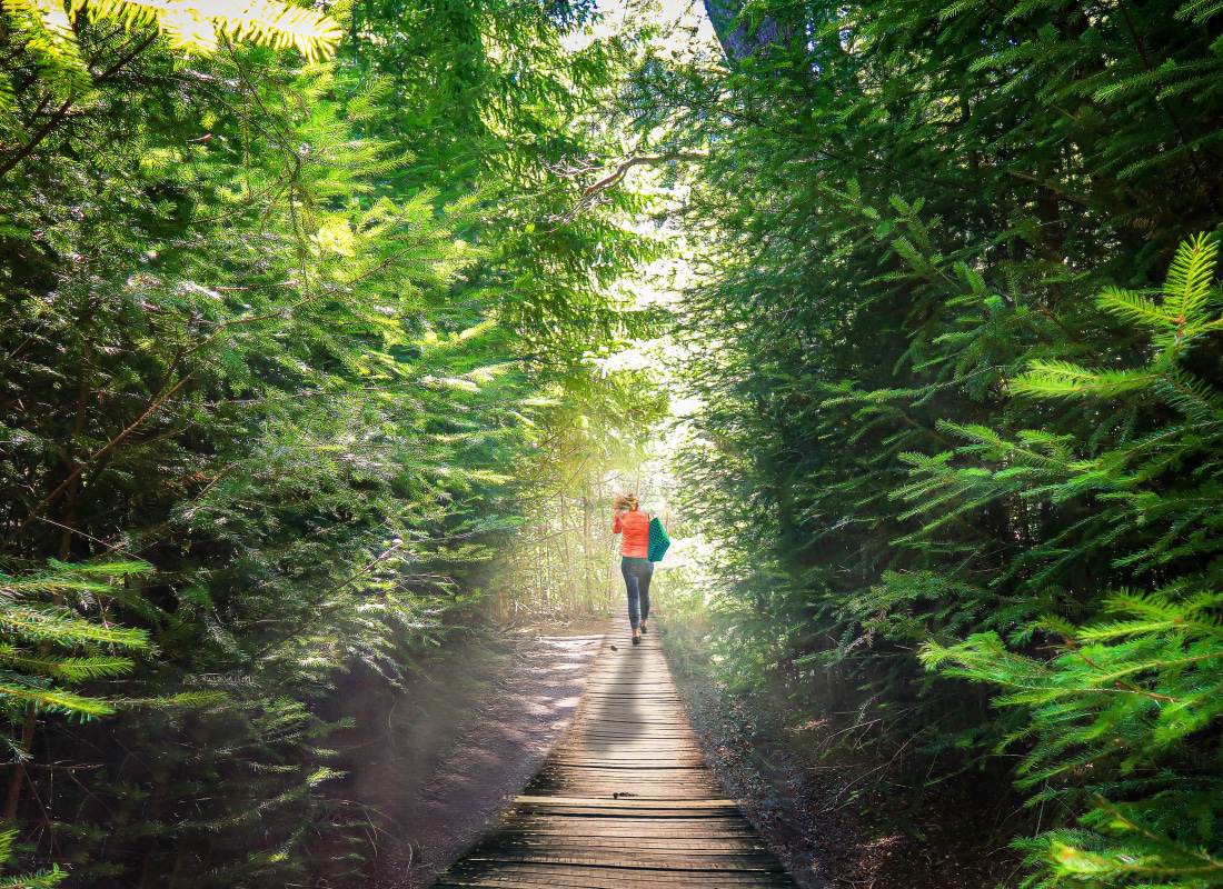 A woman is walking on a black pathway in the woods in Bariloche, Argentina.