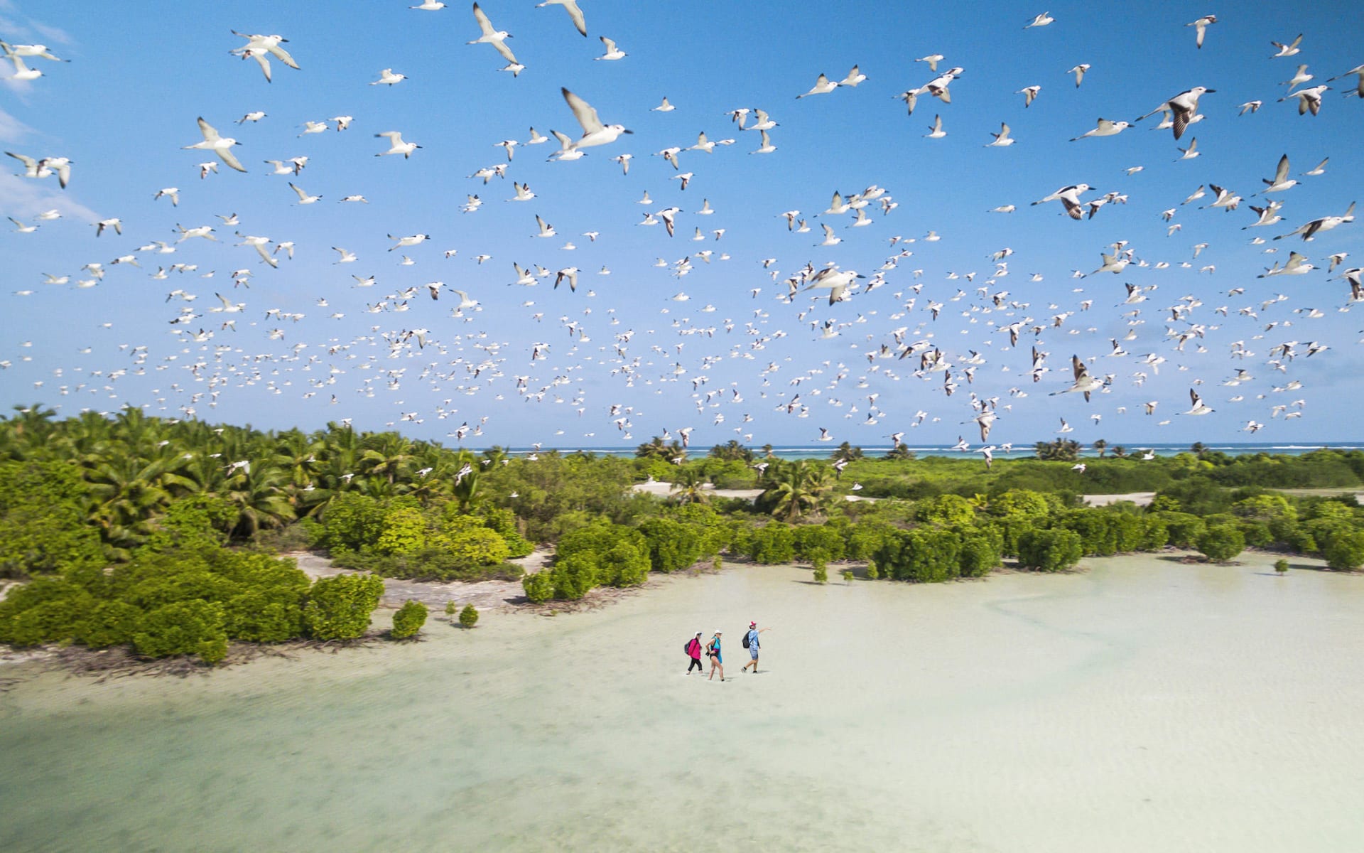 Alphonse_private_Island_island_seychelles_beach-1