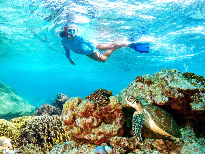 Alphonse_private_Island_seychelles_snorkelling-1