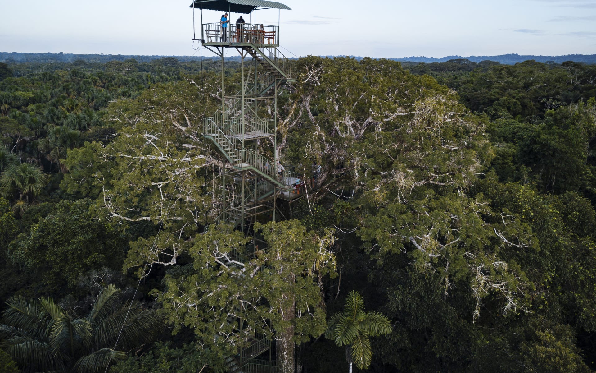 Anakonda_Amazon_Cruises_2_Experiences_xflmcq