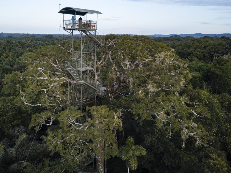 Anakonda_Amazon_Cruises_ecuador_Experiences_2-1