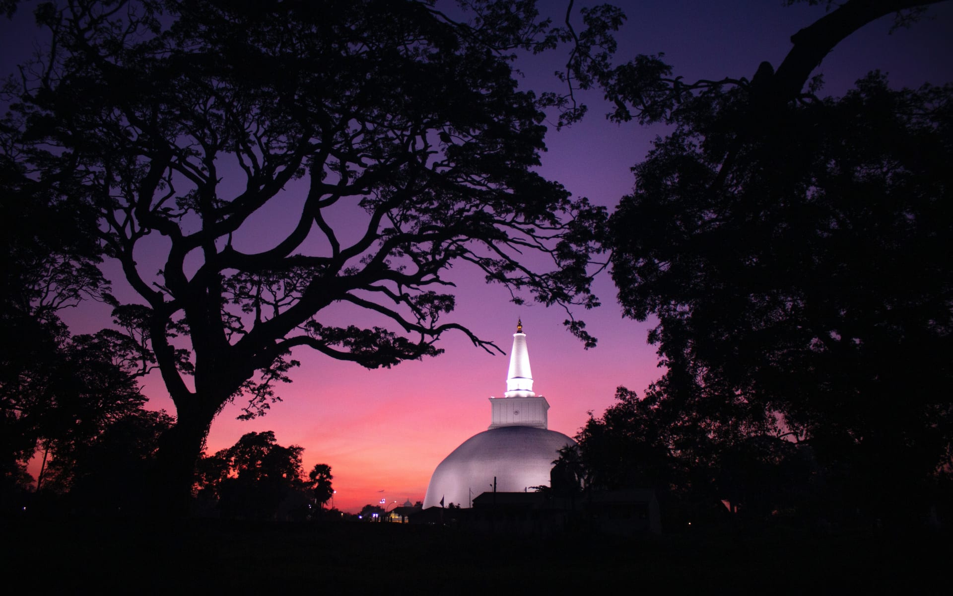 Anuradhapura_Free_Stock_Image_Pexels_CCChathura_Anuradha_Subasinghe_rpmezb