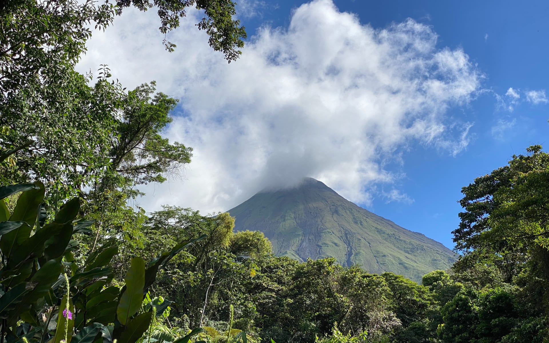 Arenal_Free_Stock_Image_Unsplash_2021_CCRikin_Katyal-IPa-v6Bir1E_jp8pik.jpg