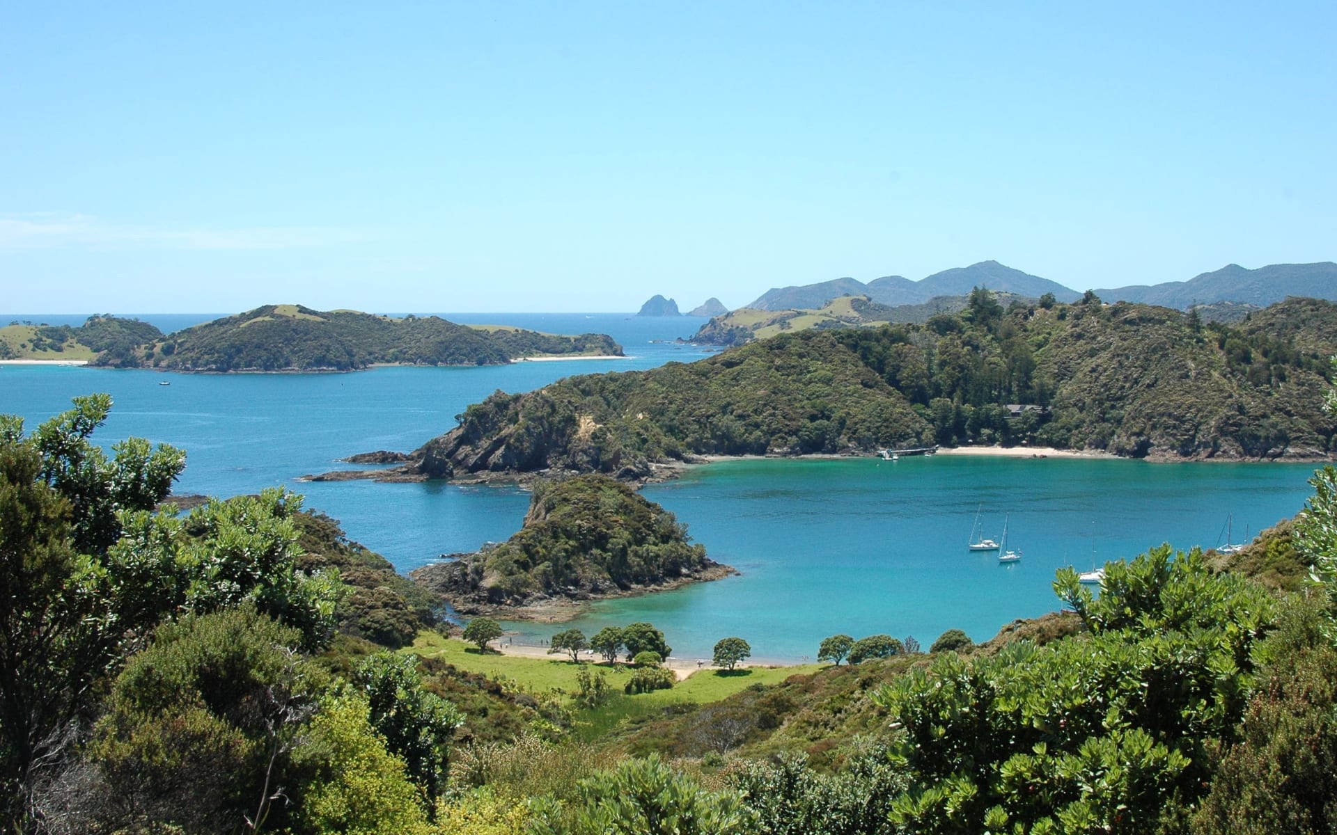 Bay_of_Islands_Free_Stock_Image_Unsplash_2020_CCLinde_Lanjouw-0QL6fdUEFSQ_qo3f25