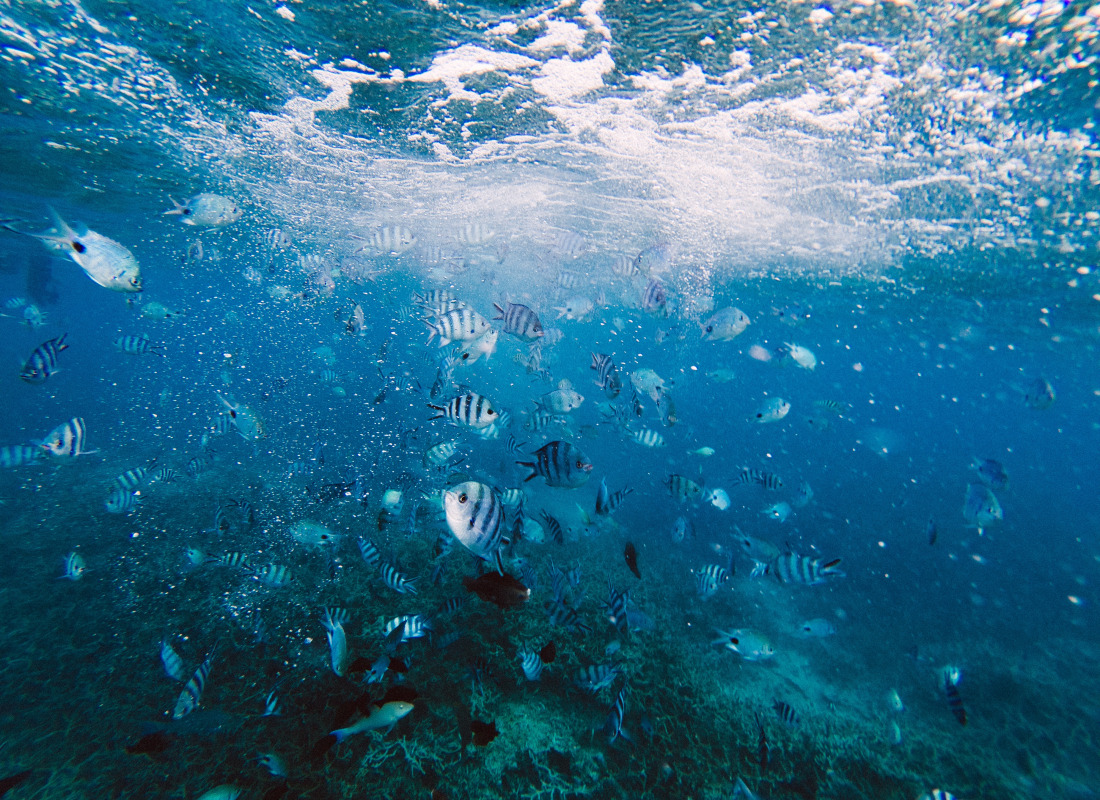 Blue_Bay_Mauritius_Unsplash_CCJeremy_Wermeille_fcaity