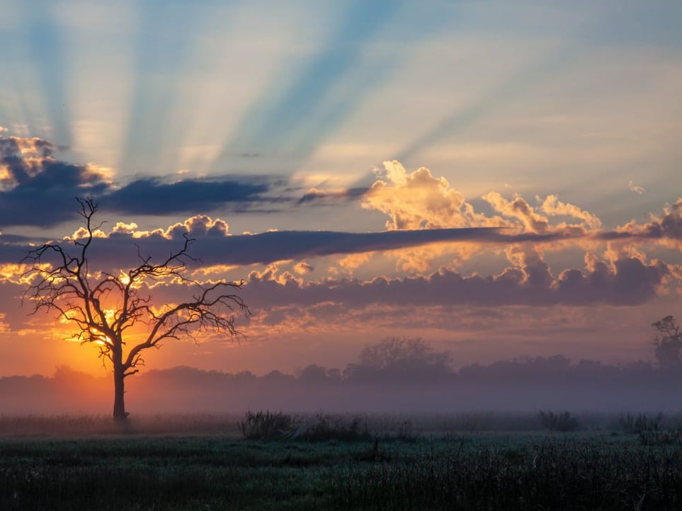 Botswana_Unsplash_2022_CCDuncan_Mcnab-bbnGliRSLQ0-unsplash_tt8isn-1