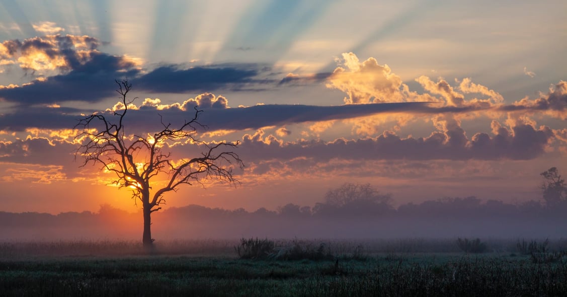 Kalahari_game_reserve_botswana