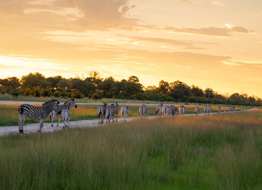 Botswana_Unsplash_CCJohn_Boatile_2021_enl7lr-1