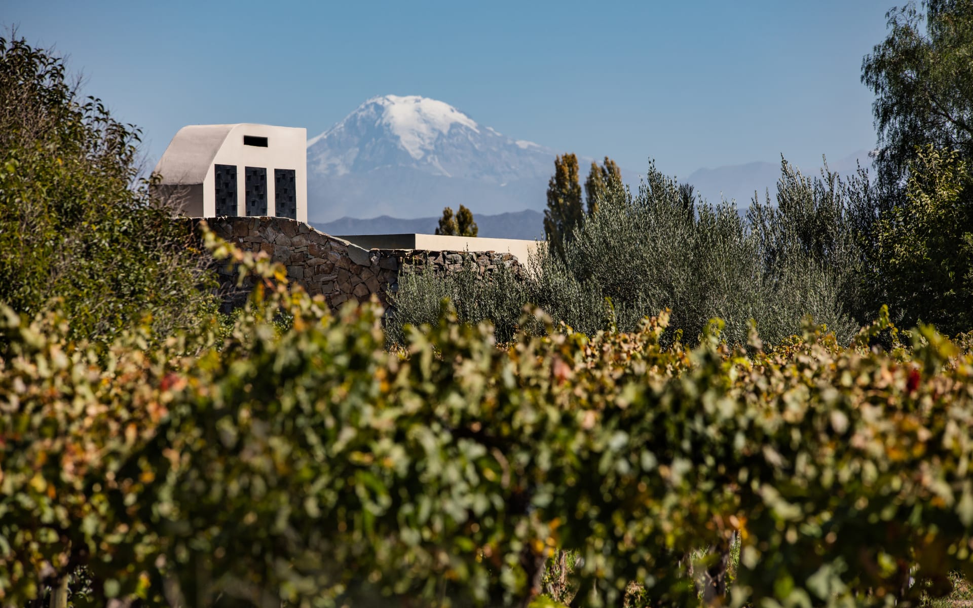 Cavas_Wine_Lodge_Mountain_View_yyif2n