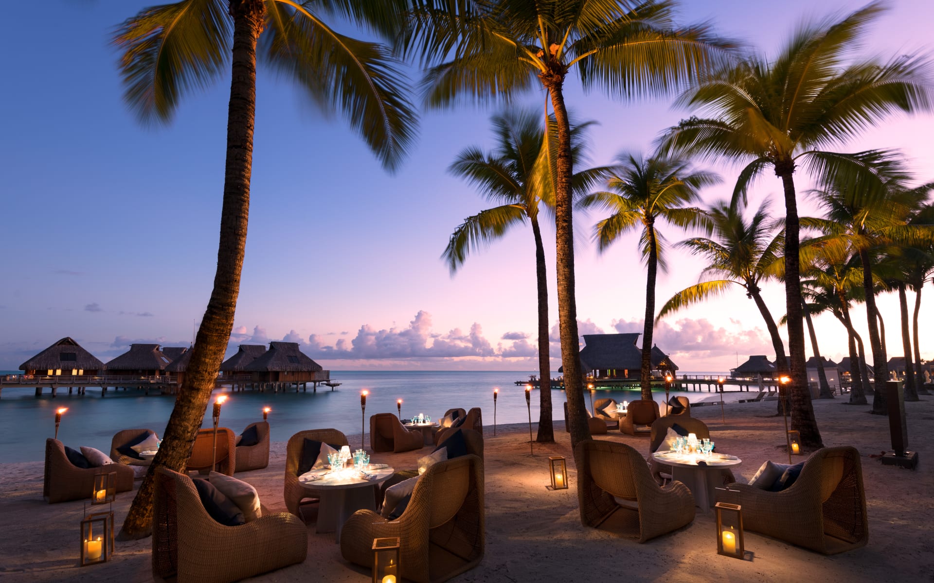 Tables and chairs are on the bach, surrounded by palm trees and lanterns. 