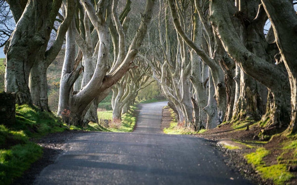 Dark Hedges is a great place to visit in Northern Ireland for Game of Thrones fans.
