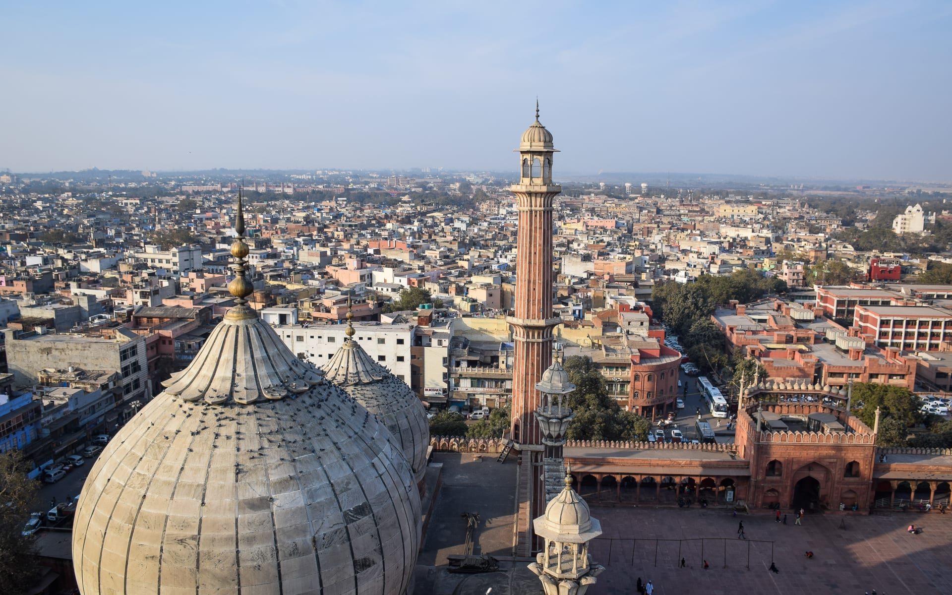 Delhi_Free_Stock_Image_Unslpash_202_CCSergio_Capuzzimati_vel3x1