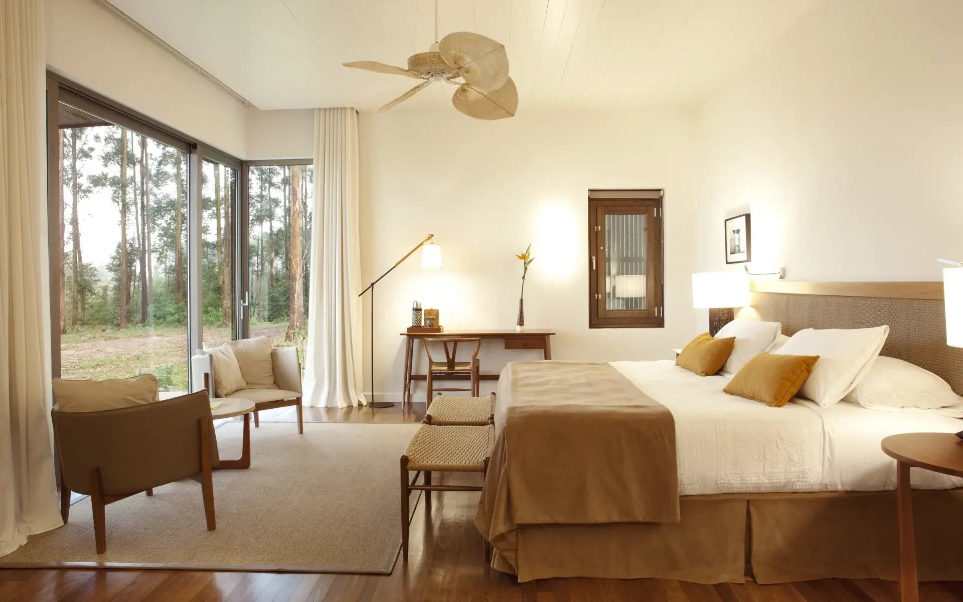 Pictures of the Hotels