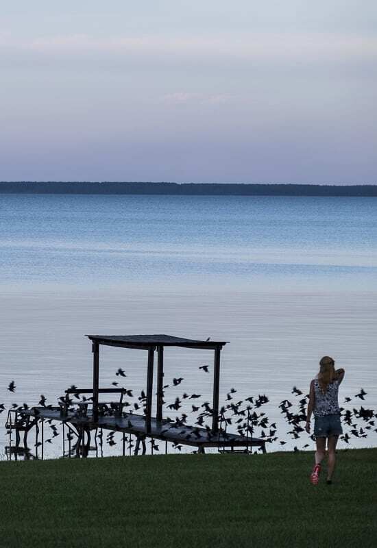 Take in the beautiful views at the dock at Hotel Puerto Valle in Argentina