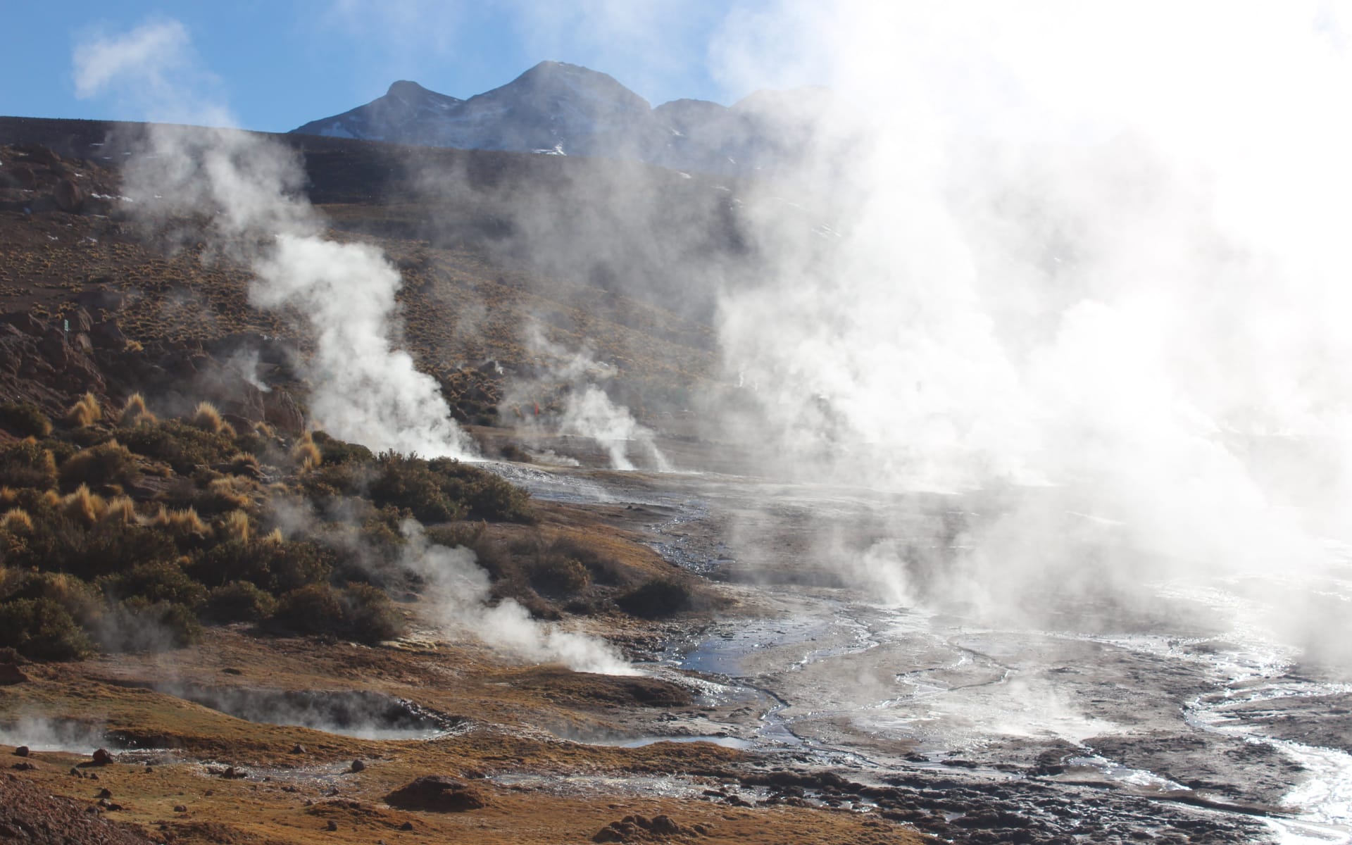 El Tatio Geysers in San Pedro de Atacama.