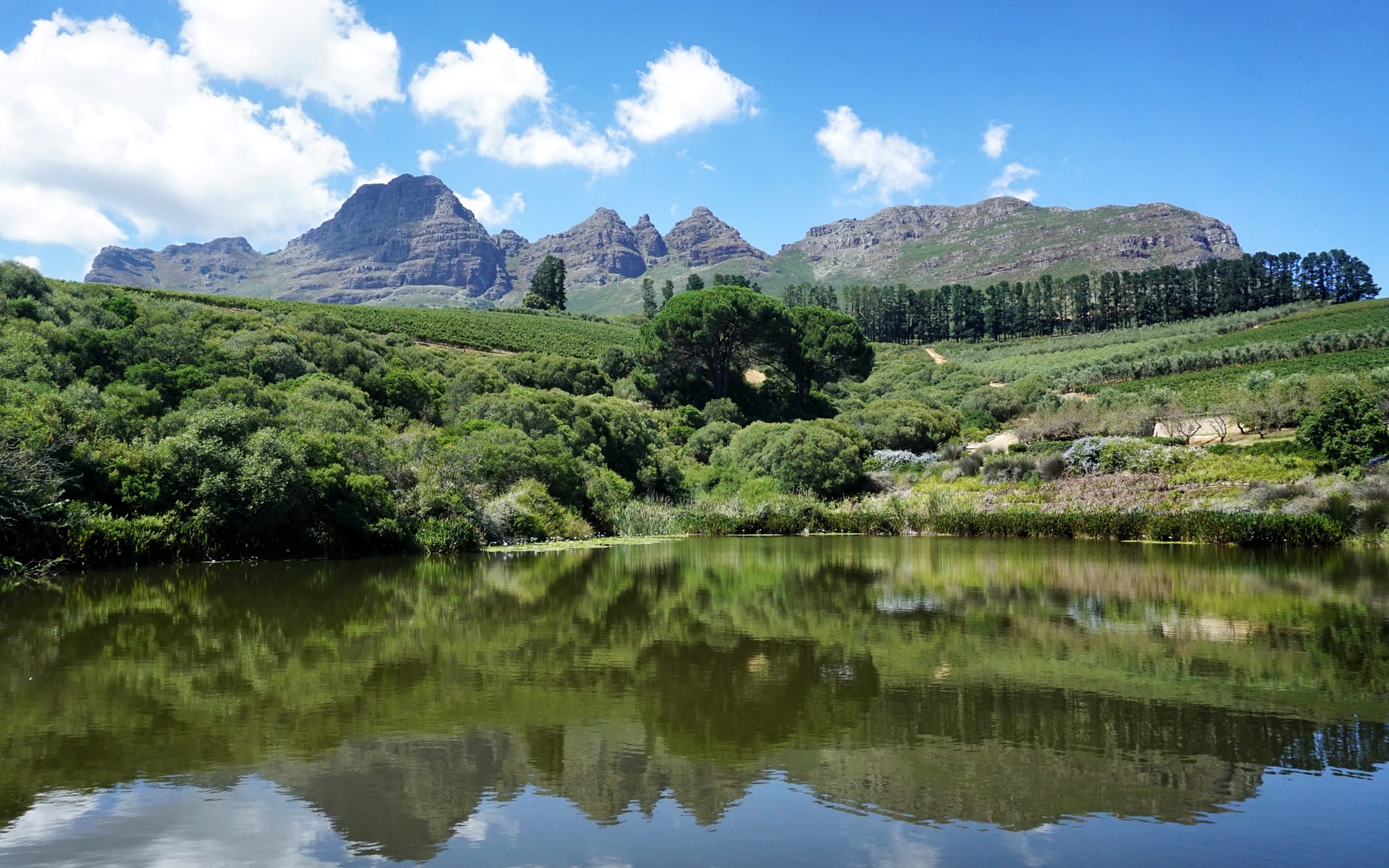 Franschhoek_Free_Stock_Image_Unsplash_2019_CCAnika_De_Dlerk-gX5mZhcn6Bk_rbopyc