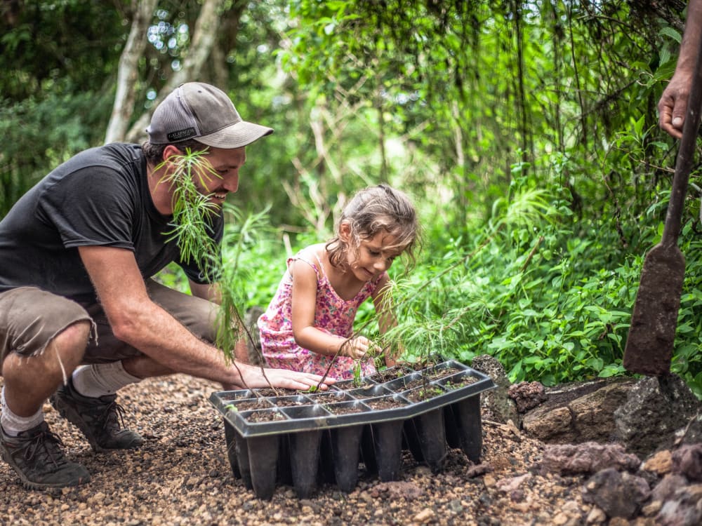 Galapagos_Safari_Camp_Tree_Planting_dajgo4