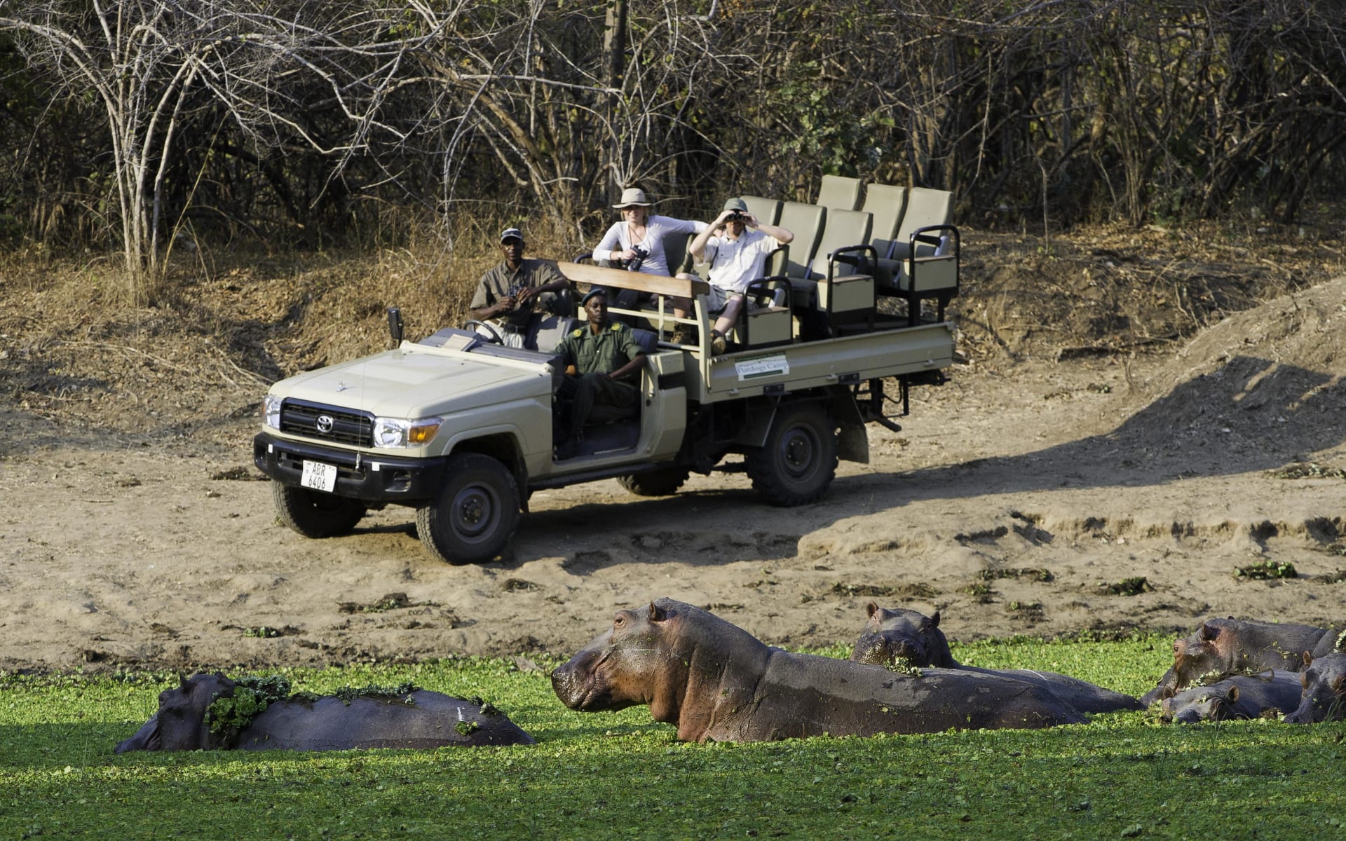 Game_drive_wndrwn
