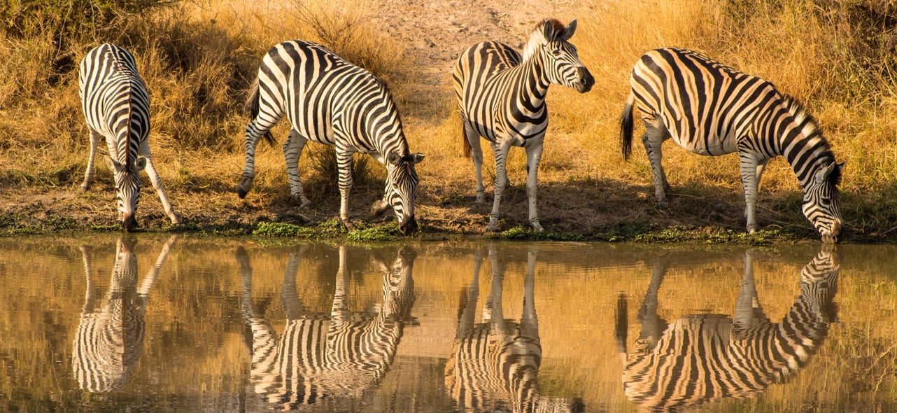 Maria and Mike on their South Africa Adventure