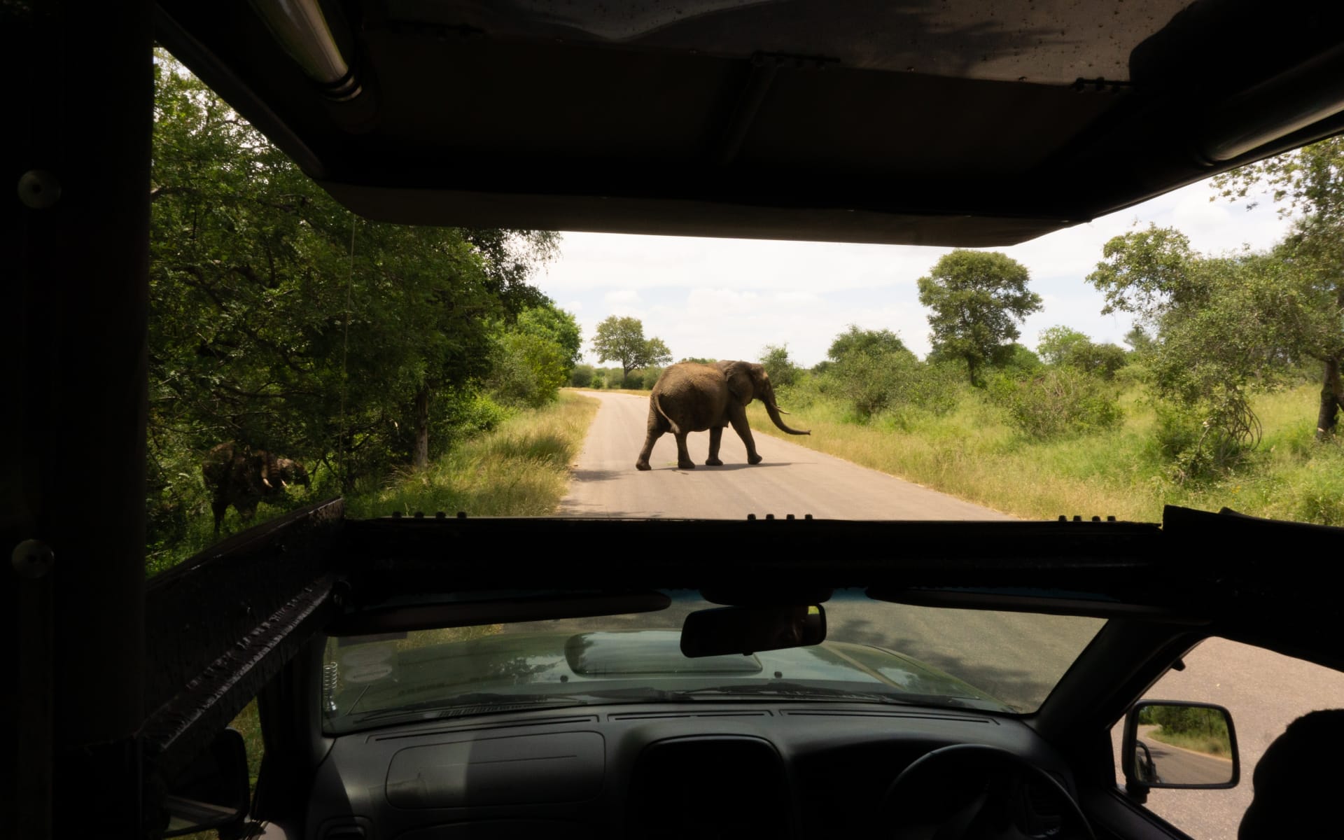 Greater_Kruger_Free_Stock_Image_Unsplash_2023_CCTheo_Topolevsky-pOTItAIy8us_ijqgdp-1