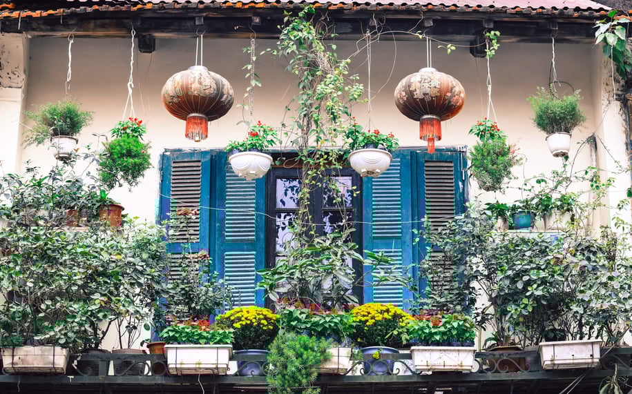 Lanterns and flowers in front of a window with blue shutters. 