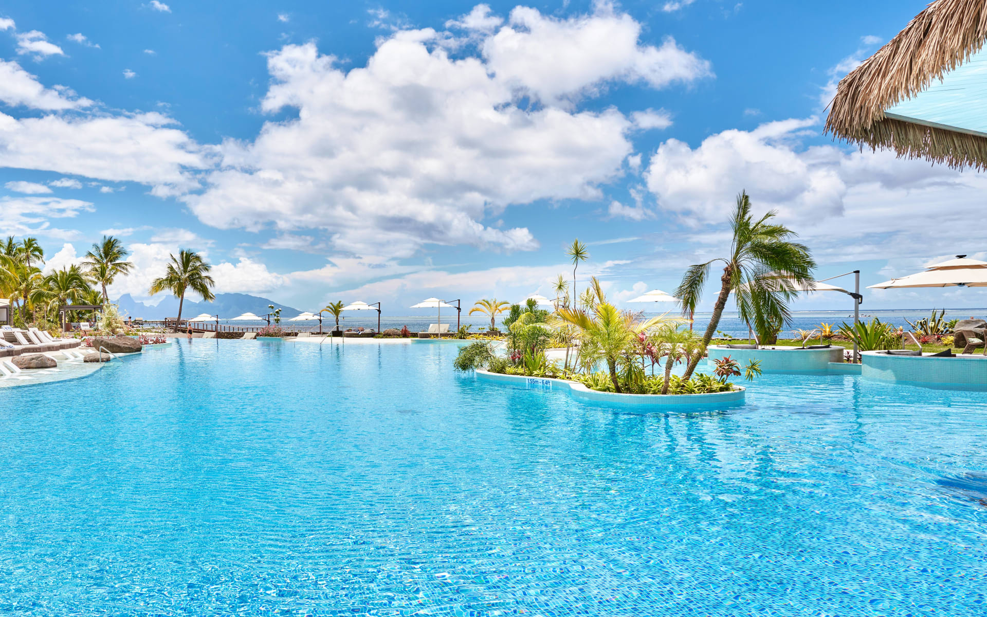 A swimming pool is surrounded by white umbrellas. 