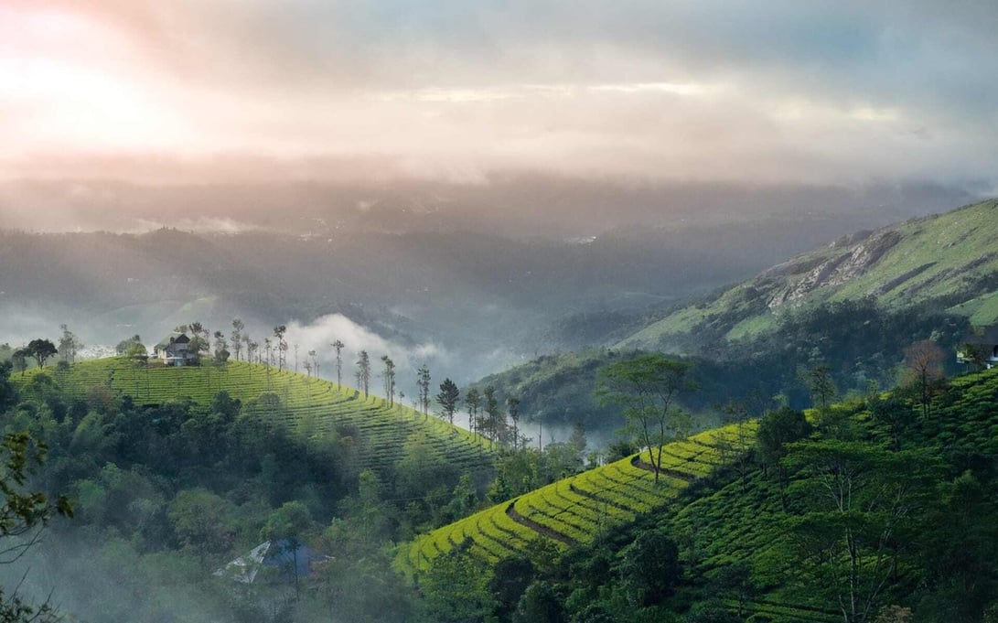 India_Munnar_Free_Stock_Pixabay_ccNandhukumar_jdxesy-1