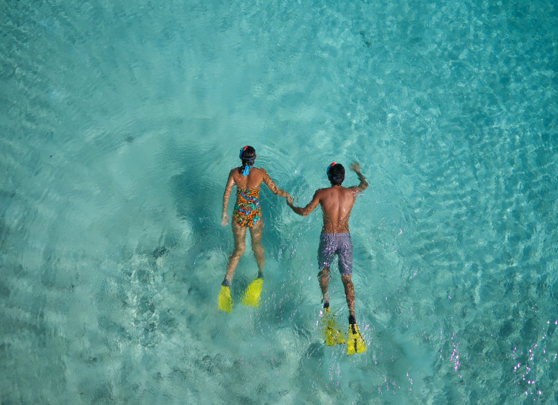 A couple are snorkelling with yellow fins. 
