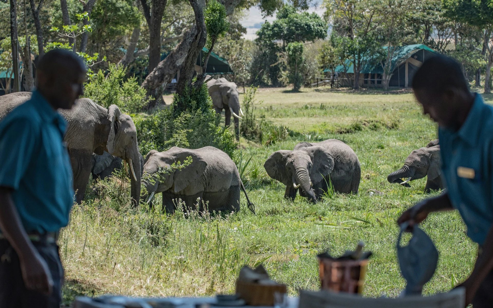 Kenya_Masai_Mara_Unsplash_CCDavid_Clode_mrno9i_iygft0