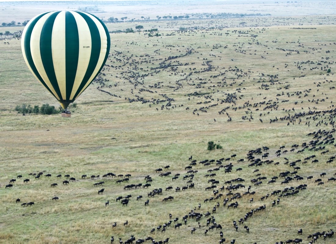Kenya_Masai_Mara_Unsplash_CCJason-Hafso_kukgxn-1