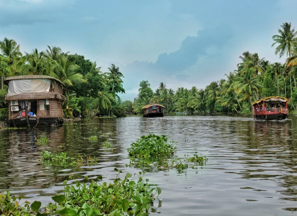 Kerala_india_free_stock_photo_unsplash_jay-shah--2