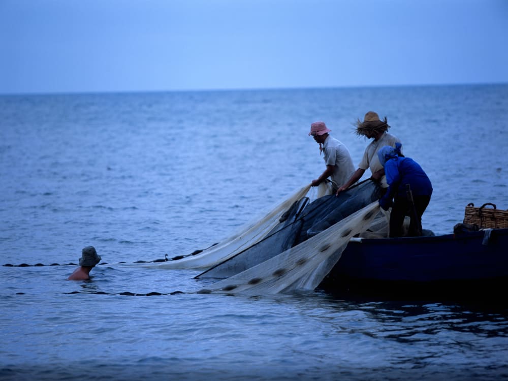 Knai_Bang_Chatt_Catching_Fish_mr3flv