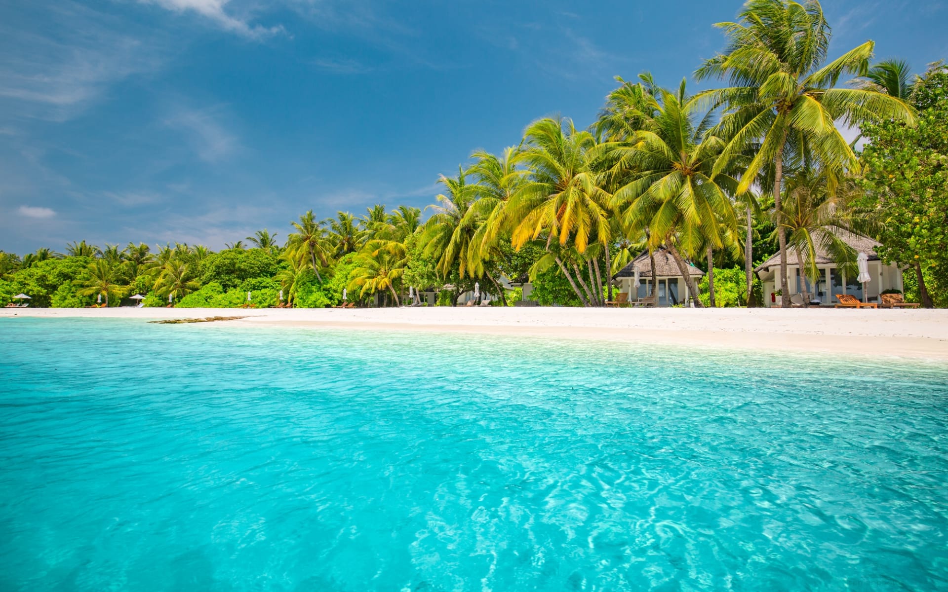 LSAA_BEACH-SEA_9_df2i6r