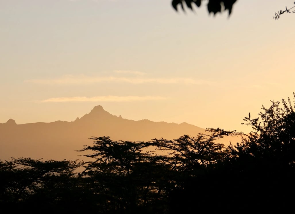 Laikipia_polina-koroleva-unsplash_izdfhr-1