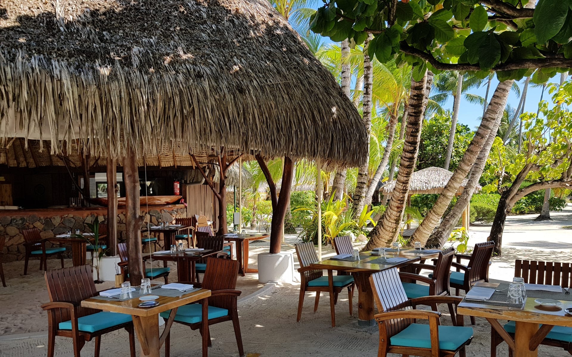 Tiki bar and restaurant on the beach with palm trees providing shade for the tables below
