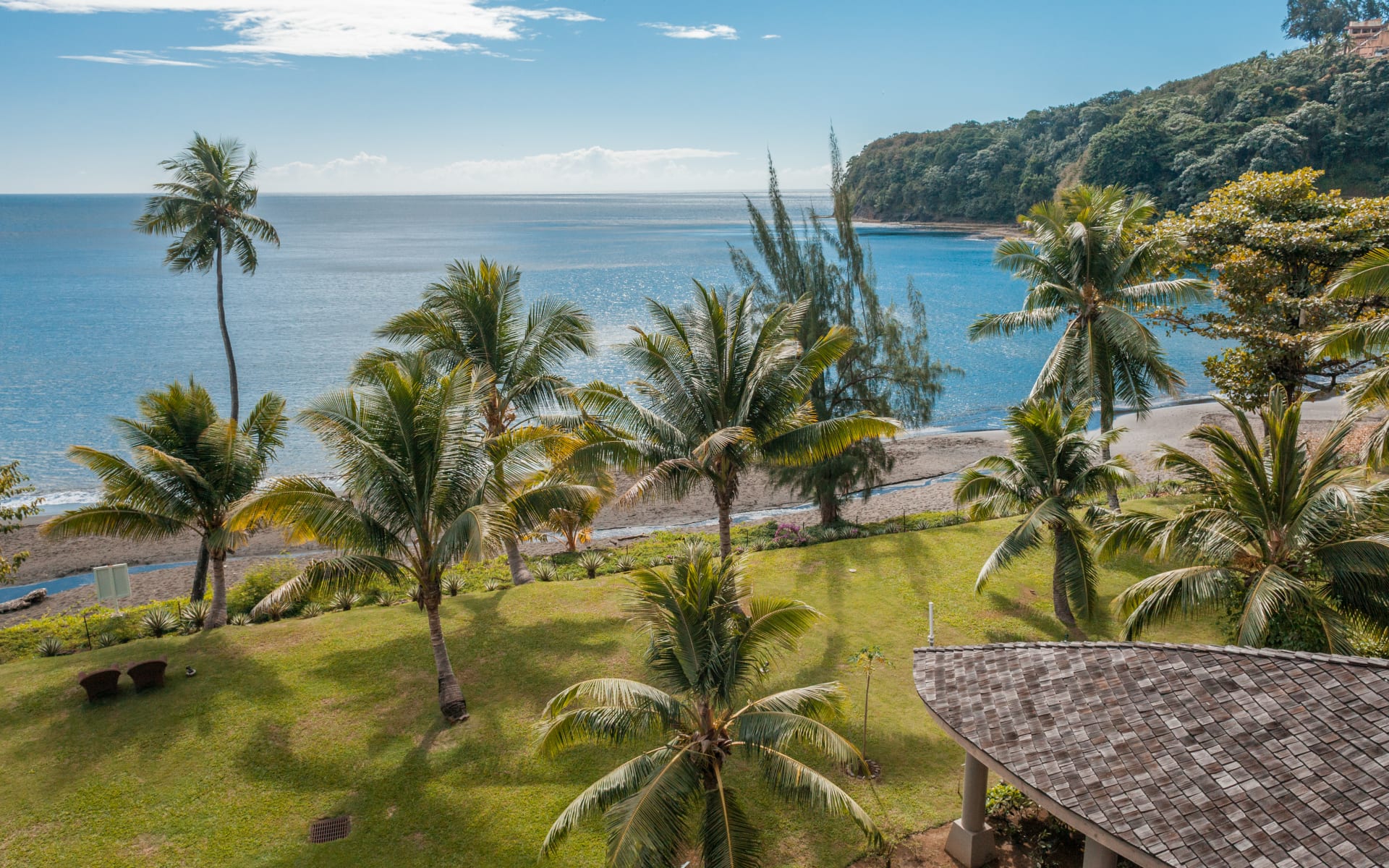 Palm trees in front of stunning ocean view 