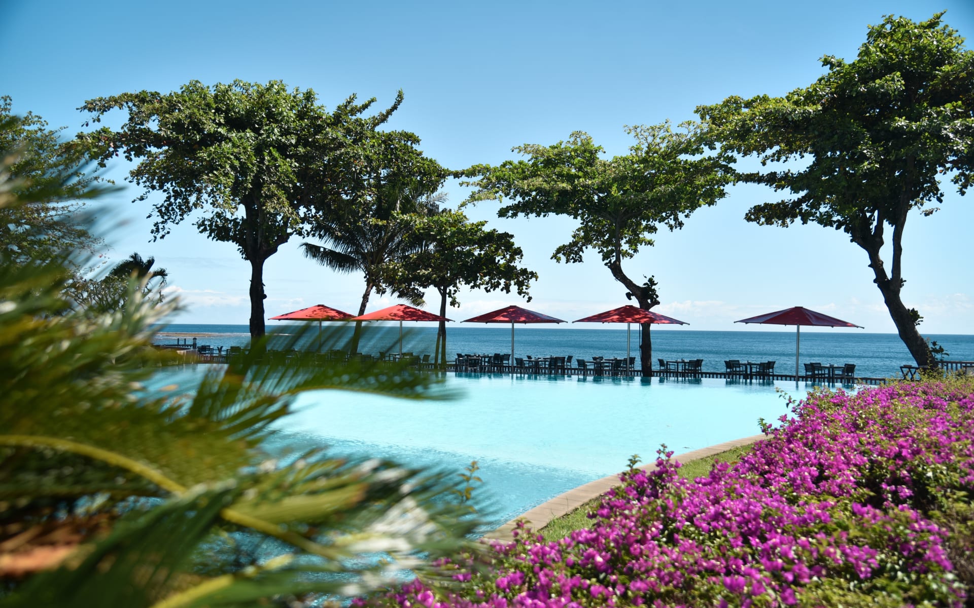 A swimming pool is surrounded by flowers and umbrellas. 