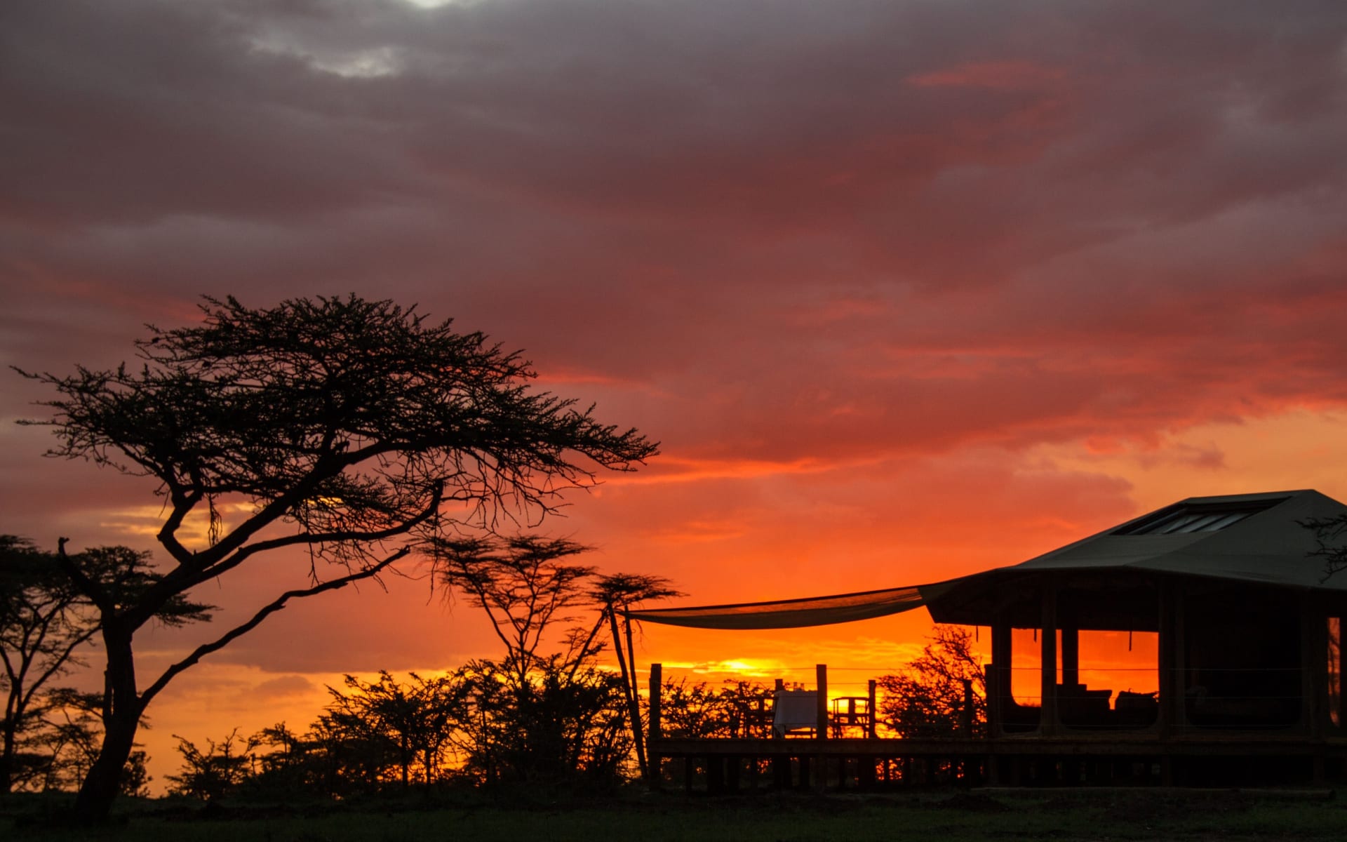 Leopard_Hill_at_sunset_ybkcxr