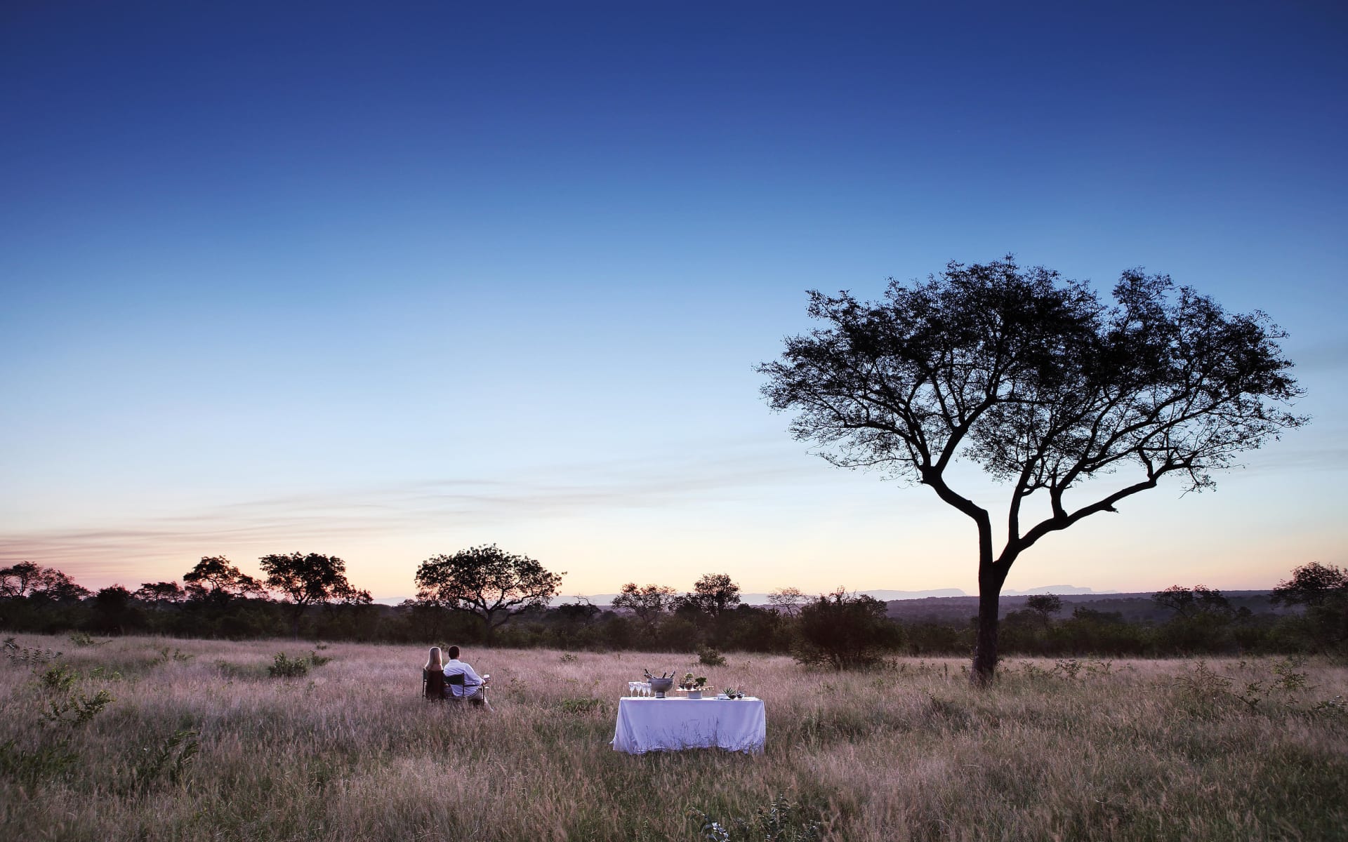 Londolozi_tree_camp_south_africa_drinks_stop_hxtkjy