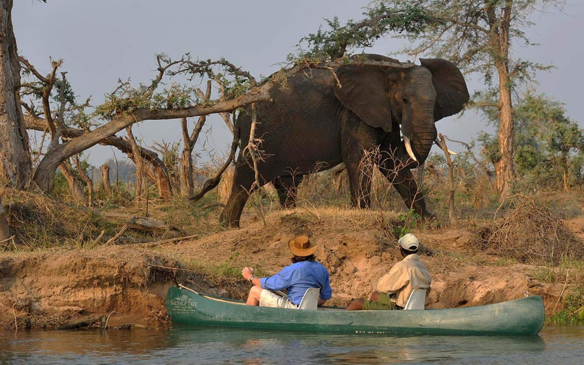 Lower_Zambezi_Potato_Bush_Camp_Wildlife_Water_Safari_lekiwt
