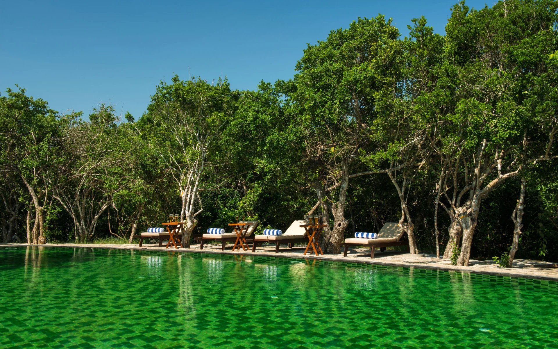 The pool is surrounded by trees and sun loungers. 