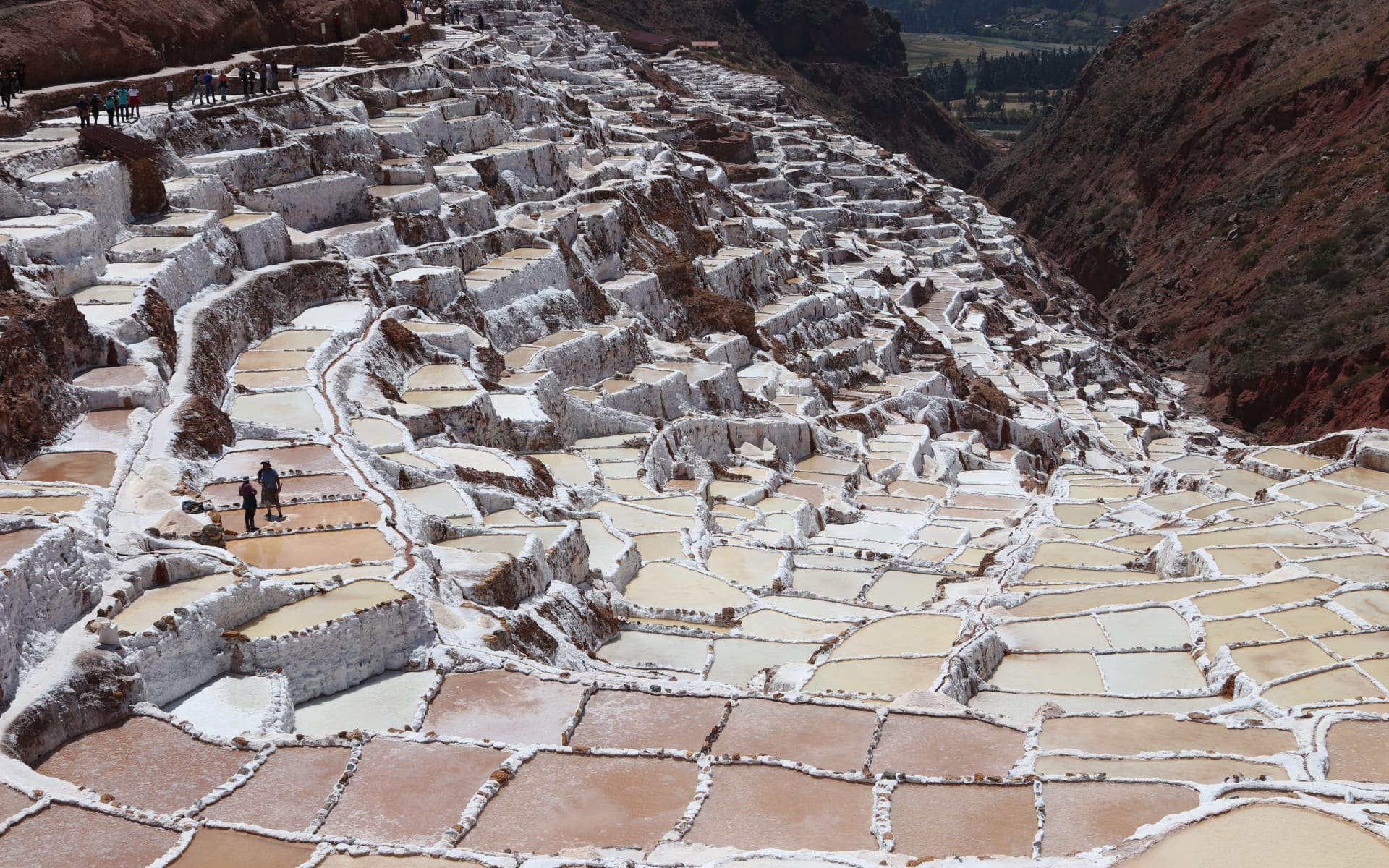 Maras_Free_Stock_Image_Unsplash_2018_CCThomas_Griggs-Yti_69tSeZ4_ztpmd2